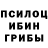 Галлюциногенные грибы MAGIC MUSHROOMS WhatHoSnorkers