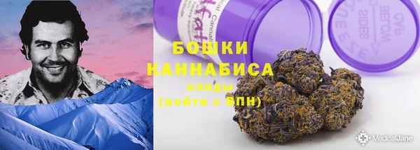 гидропоника Абаза