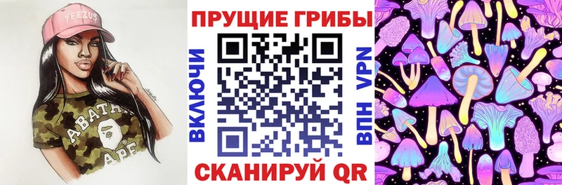 Псилоцибиновые грибы Cubensis  цена наркотик  Благовещенск 