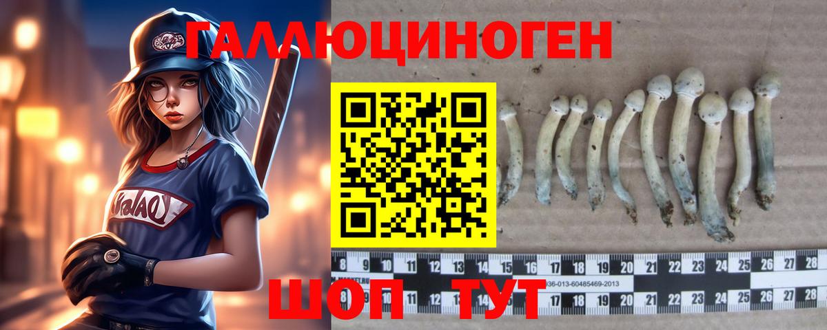 где можно купить наркотик  Вход с VPN  Благовещенск  Псилоцибиновые грибы Cubensis 